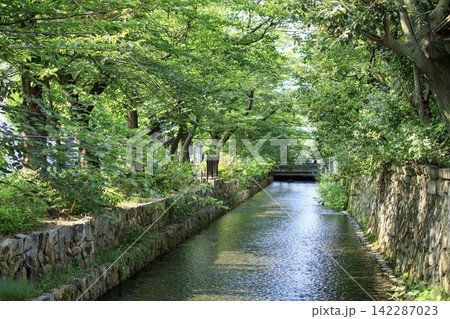 京都府、高瀬川の風景 京都府、高瀬川の風景 142287023