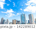 オフィスビルとタワーマンションの並ぶ風景 142289012