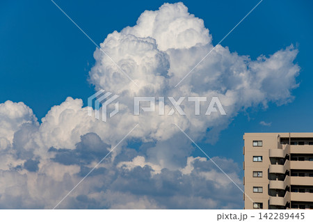 夏空に巨大な積乱雲が湧き上がるマンション街 夏空に巨大な積乱雲が湧き上がるマンション街 142289445