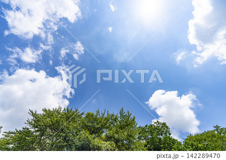 夏の青空と雲と樹木 夏の青空と雲と樹木 142289470