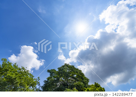 夏の青空と雲と樹木 夏の青空と雲と樹木 142289477