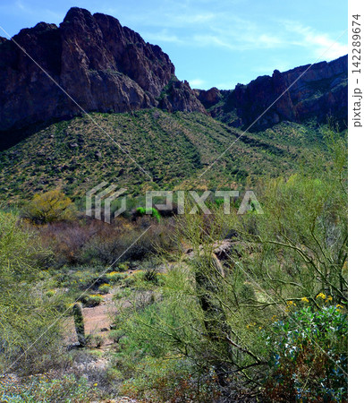 Salt River Recreation Area Arizona Salt River Recreation Area Arizona 142289674