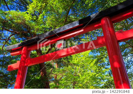 清水神社の鳥居の裏に見えるハートマーク 鹿児島県伊佐市 清水神社の鳥居の裏に見えるハートマーク 鹿児島県伊佐市 142291848
