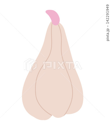 Minimal pumpkin design in soft pastel colors 142291949