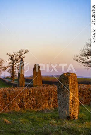 menhirs standing in Couches, Saone et Loire, Bourgogne Franche Comte, France 142292616