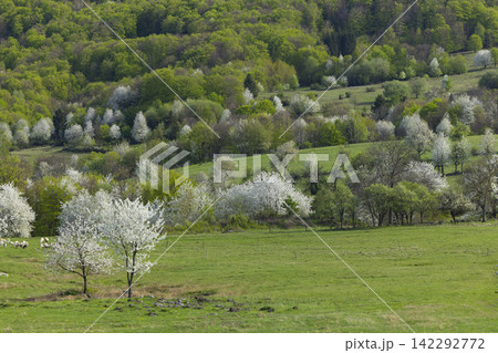 Typical landscape near National park Polana mountains, Slovakia 142292772