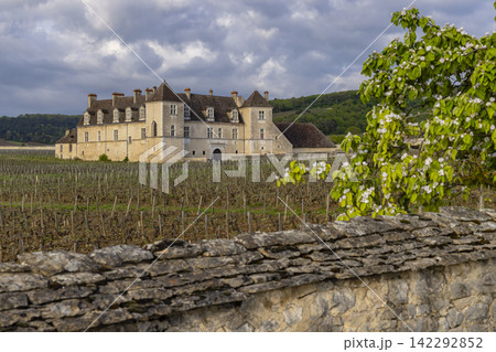 Typical vineyards near Clos de Vougeot, Cote de Nuits, Burgundy, France Typical vineyards near Clos de Vougeot, Cote de Nuits, Burgundy, France 142292852