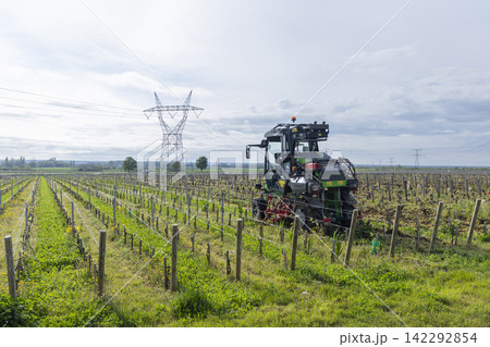 Tractor working in vineyard using inter row cultivator for sustainable agriculture in Burgundy, France Tractor working in vineyard using inter row cultivator for sustainable agriculture in Burgundy, France 142292854