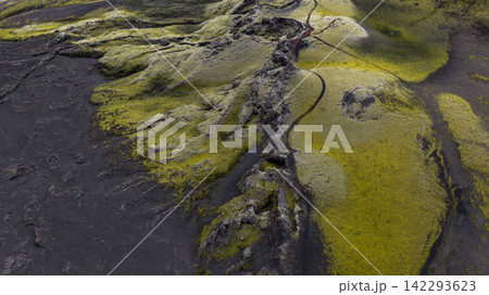 Aerial view of moss-covered lava fields and glacial meltwater channels, Skaft?rhreppur Iceland Aerial view of moss-covered lava fields and glacial meltwater channels, Skaft?rhreppur Iceland 142293623