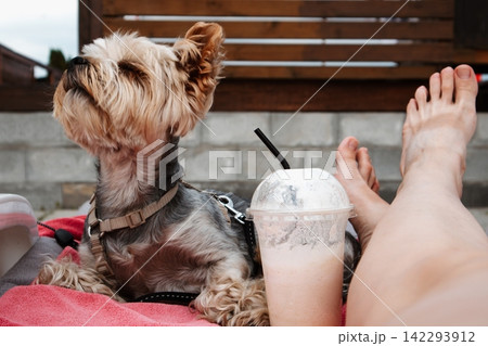 Cute dog relaxing outdoors beside a cold blended drink, with a person resting nearby. Casual summer scene featuring pet companionship. Vacation mood. Cute dog relaxing outdoors beside a cold blended drink, with a person resting nearby. Casual summer scene featuring pet companionship. Vacation mood. 142293912