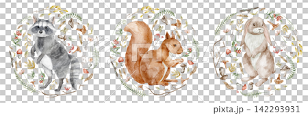 Woodland animals watercolor illustration set with racoon, squirrel and rabbit in floral circle frames isolated on background. Forest fall clipart for nursery, baby designs and autumn posters. 142293931
