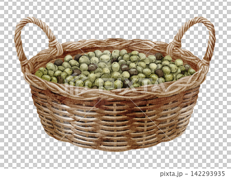 Olive basket watercolor illustration with fresh green fruits in a woven wicker container isolated on background. Mediterranean harvest clipart for food, farm, market and rustic designs. 142293935