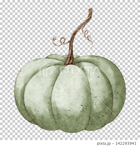 Pumpkin watercolor illustration of a green ribbed autumn vegetable isolated on background. Harvest clipart with gourd for Thanksgiving invitation, fall, farm, garden, food and seasonal designs. Pumpkin watercolor illustration of a green ribbed autumn vegetable isolated on background. Harvest clipart with gourd for Thanksgiving invitation, fall, farm, garden, food and seasonal designs. 142293941