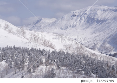 雪の山壁と樹林帯の冬山風景 雪の山壁と樹林帯の冬山風景 142295769