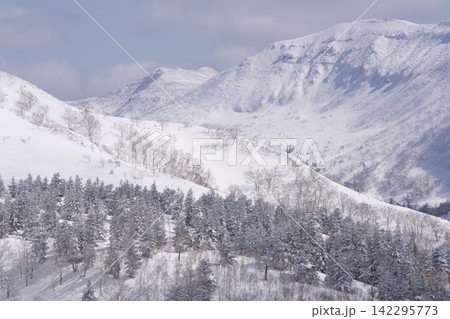 雪の圏谷と針葉樹の森の眺め 142295773