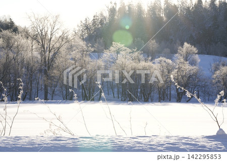 霧氷の木々と雪原の静けさ 霧氷の木々と雪原の静けさ 142295853