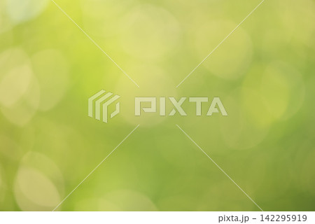 Abstract natural background. Defocused green natural background as backdrop. Blurred plants. 142295919