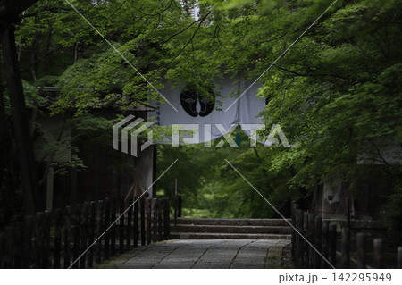 京都・長岡京 光明寺の新緑 142295949