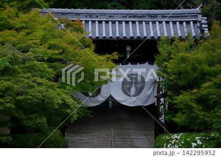 京都・長岡京 光明寺の新緑に包まれた山門 京都・長岡京 光明寺の新緑に包まれた山門 142295952