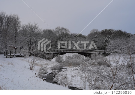 雪に覆われた公園 142296010
