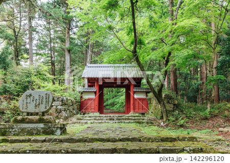 【滋賀県東近江市】百済寺 赤門と新緑 【滋賀県東近江市】百済寺 赤門と新緑 142296120