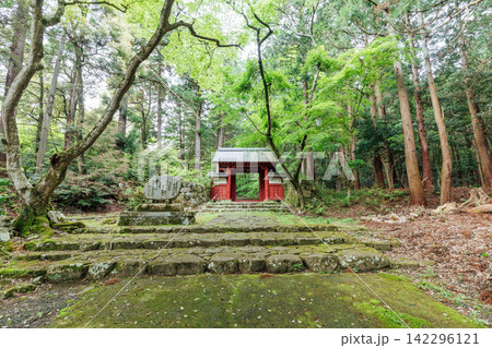 【滋賀県東近江市】百済寺 赤門と新緑 【滋賀県東近江市】百済寺 赤門と新緑 142296121
