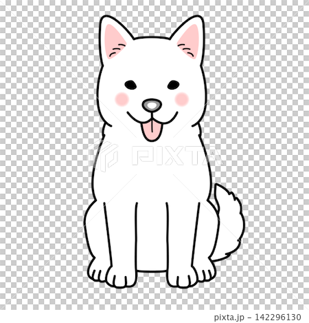 Vector illustration of a Kishu dog (full body, front view, sitting). Vector illustration of a Kishu dog (full body, front view, sitting). 142296130
