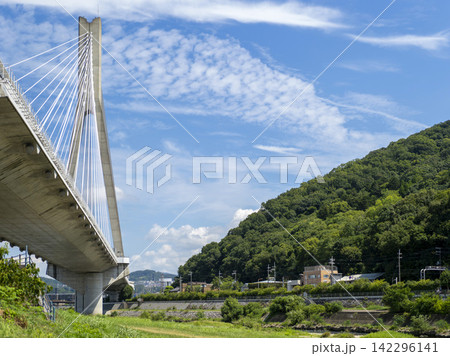 猪名川河川敷から見上げる新猪名川大橋と五月山 142296141