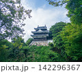 西尾市歴史公園　西尾城　本丸丑寅櫓 142296367