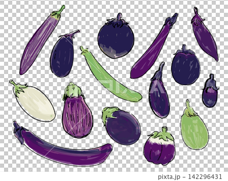 Watercolor-style illustration of an eggplant Watercolor-style illustration of an eggplant 142296431