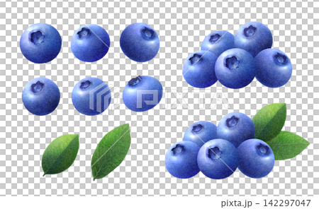 新鮮なブルーベリーと葉の水彩イラストセット 142297047