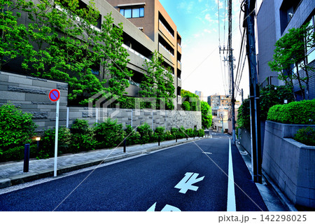 東京 白金長者丸の閑静な高級住宅街 東京 白金長者丸の閑静な高級住宅街 142298025