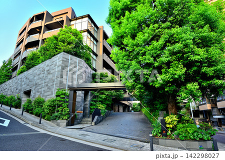 東京 白金長者丸の閑静な高級住宅街 東京 白金長者丸の閑静な高級住宅街 142298027
