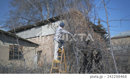 A rural guy cuts dry branches from a tree while standing on a stepladder. The action takes place in the garden, the house is visible in the background A rural guy cuts dry branches from a tree while standing on a stepladder. The action takes place in the garden, the house is visible in the background 142298468
