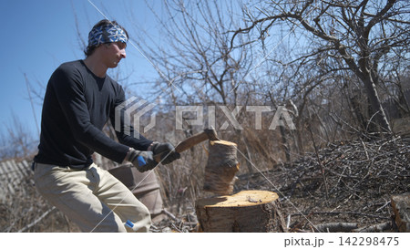 A lumberjack at work. An attractive white guy is chopping firewood with an axe on a sunny day. The action takes place in a wooded area with trees and bushes A lumberjack at work. An attractive white guy is chopping firewood with an axe on a sunny day. The action takes place in a wooded area with trees and bushes 142298475