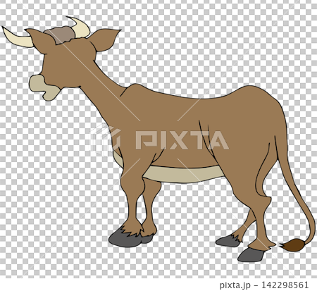 Hand-drawn animal illustration ☆ Fierce bull Hand-drawn animal illustration ☆ Fierce bull 142298561
