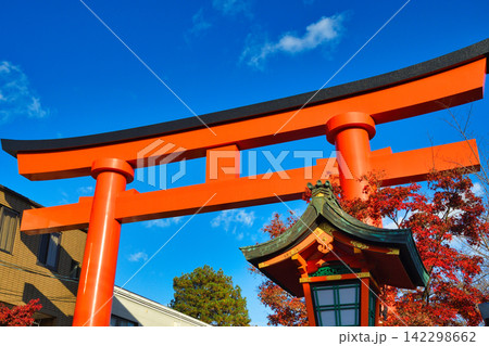 京都 伏見稲荷大社 秋の紅葉と青空に映える美しい朱色の鳥居 (京都府京都市伏見区) 京都 伏見稲荷大社 秋の紅葉と青空に映える美しい朱色の鳥居 (京都府京都市伏見区) 142298662