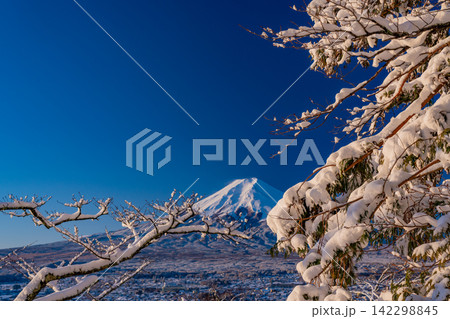 【山梨県】一面銀世界になった新倉山浅間公園から望む富士山 【山梨県】一面銀世界になった新倉山浅間公園から望む富士山 142298845