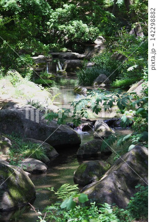 木漏れ日と苔むした岩間を流れる涼しげな小川（坂東市・八坂公園） 142298882