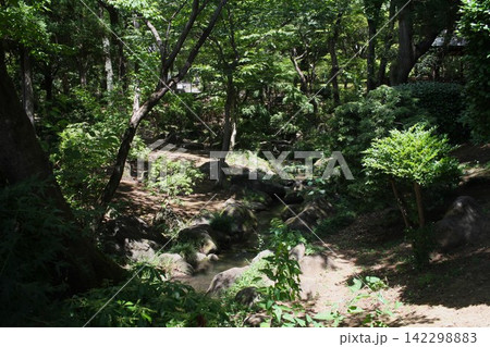 木漏れ日が降り注ぐ新緑の森と静かに流れるせせらぎ(坂東市・八坂公園) 木漏れ日が降り注ぐ新緑の森と静かに流れるせせらぎ(坂東市・八坂公園) 142298883