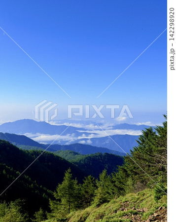 東京都最高峰・雲取山の山頂から望む富士山と夏の山岳風景、青空と積雲に囲まれた雲取山避難小屋 東京都最高峰・雲取山の山頂から望む富士山と夏の山岳風景、青空と積雲に囲まれた雲取山避難小屋 142298920