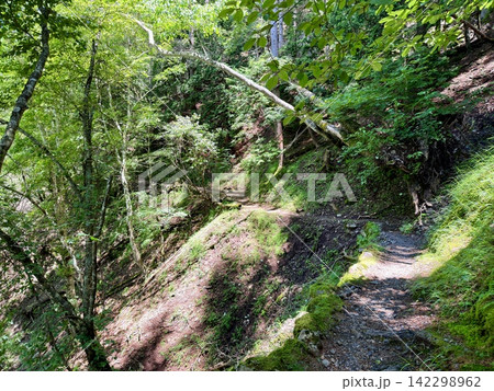 山梨県の小袖登山口から東京都最高峰の雲取山へ続く鴨沢ルートの夏景色、青空と湧き水、富士山を望む登山道 山梨県の小袖登山口から東京都最高峰の雲取山へ続く鴨沢ルートの夏景色、青空と湧き水、富士山を望む登山道 142298962