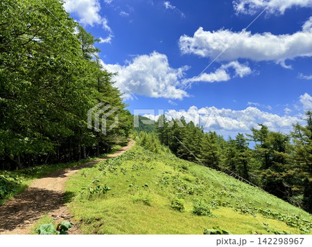 山梨県の小袖登山口から東京都最高峰の雲取山へ続く鴨沢ルートの夏景色、青空と湧き水、富士山を望む登山道 山梨県の小袖登山口から東京都最高峰の雲取山へ続く鴨沢ルートの夏景色、青空と湧き水、富士山を望む登山道 142298967