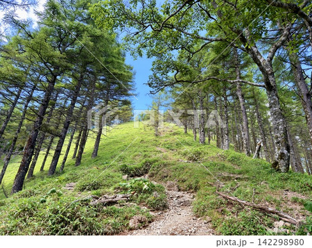 山梨県の小袖登山口から東京都最高峰の雲取山へ続く鴨沢ルートの夏景色、青空と湧き水、富士山を望む登山道 山梨県の小袖登山口から東京都最高峰の雲取山へ続く鴨沢ルートの夏景色、青空と湧き水、富士山を望む登山道 142298980