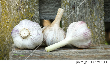 Three fresh garlic bulbs resting on weathered wooden planks outdoors 142299011