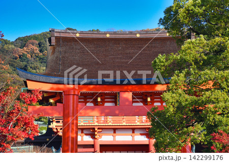 京都 伏見稲荷大社 美しい朱色の鳥居と楼門と秋の美しい紅葉 (京都府京都市伏見区) 京都 伏見稲荷大社 美しい朱色の鳥居と楼門と秋の美しい紅葉 (京都府京都市伏見区) 142299176