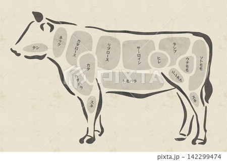 クラフト紙風背景の牛肉部位カット図解イラスト クラフト紙風背景の牛肉部位カット図解イラスト 142299474