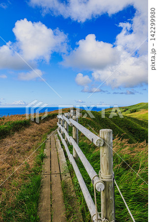 爽やかな風が吹き抜ける礼文島桃岩展望台コースの木道散策路と青空の絶景 爽やかな風が吹き抜ける礼文島桃岩展望台コースの木道散策路と青空の絶景 142299980