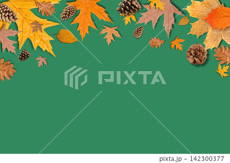 Autumn. Vibrant assortment of fall leaves and pine cones scattered on green surface Autumn. Vibrant assortment of fall leaves and pine cones scattered on green surface 142300377