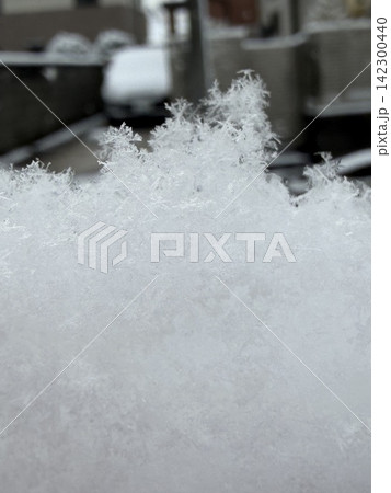 雪の降らない地域に降った珍しい雪の結晶 雪の降らない地域に降った珍しい雪の結晶 142300440